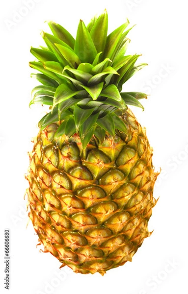 Obraz fresh pineapple