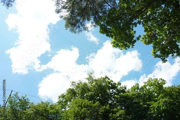 Fototapeta 한국의 매우 더운 여름날속 하천변