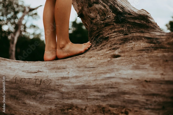 Obraz Barfuß klettern auf einem Baumstamm
