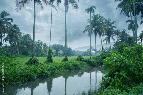 Obraz A beautiful landscape scene in Kerala, features a beautiful stream flowing in the middle of a lush green farm against a cloudy sky. 