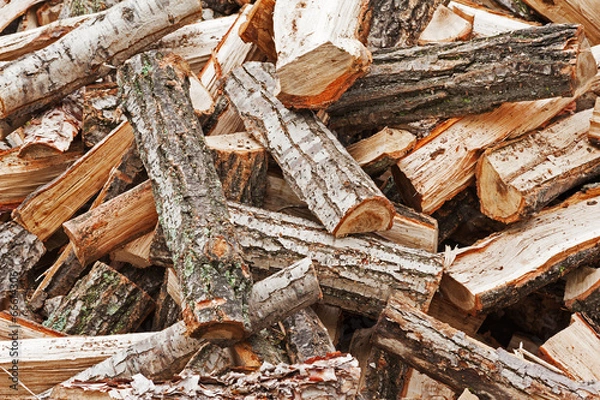 Obraz Dry chopped firewood logs in pile.
