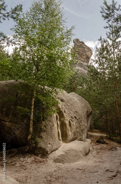 Fototapeta mountains