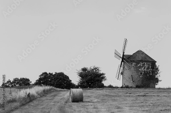 Fototapeta windmill