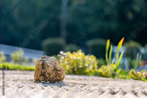 Obraz A decorative element with a large stone