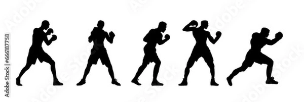 Obraz boxer silhouette	- vector illustration

