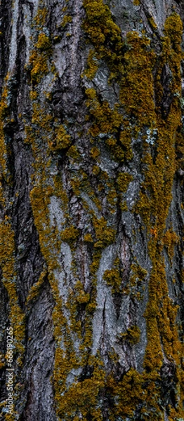 Obraz Belleza de España