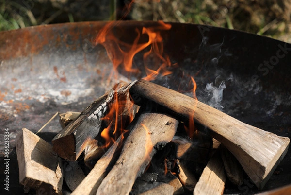 Obraz Fire campfire wood fire embers