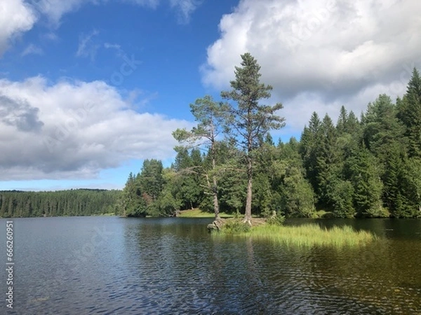 Fototapeta Sunny day. Beautiful forest mountain lake. Trees reflected in the water