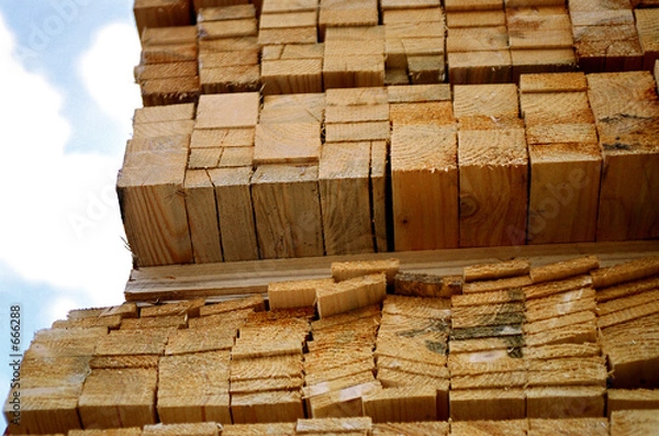 Obraz timber stock