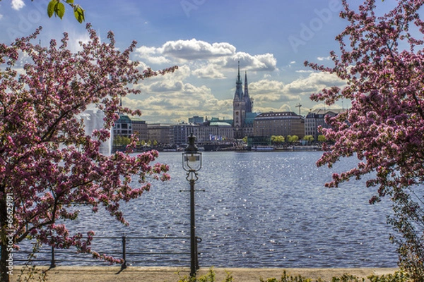 Obraz Hamburg Alster