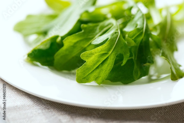 Fototapeta Fresh arugula leaves macro