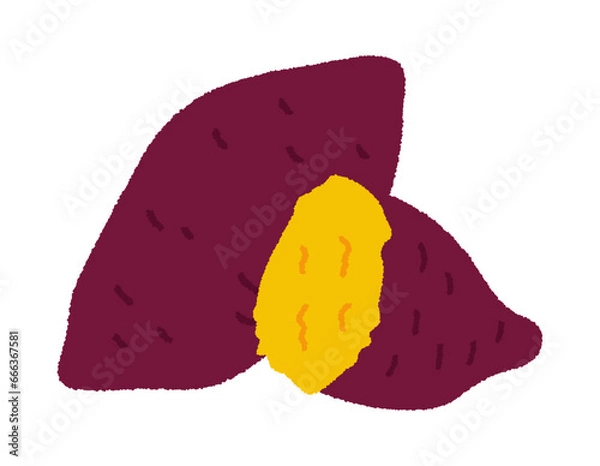 Fototapeta さつまいも・焼き芋の手書きベクターイラスト／食べ物・炭水化物・野菜・秋