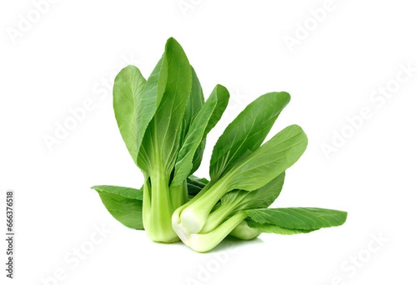 Obraz Bok choy vegetable isolated on the white background