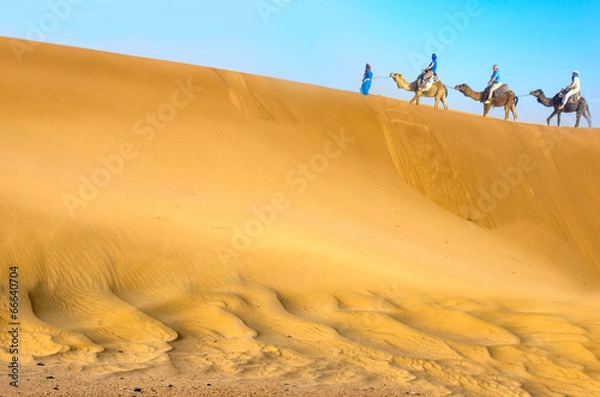 Fototapeta Travel with camel