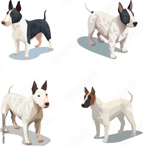 Fototapeta Miniature Bull Terrier dog collection in many action. Graphic resource about set for vector