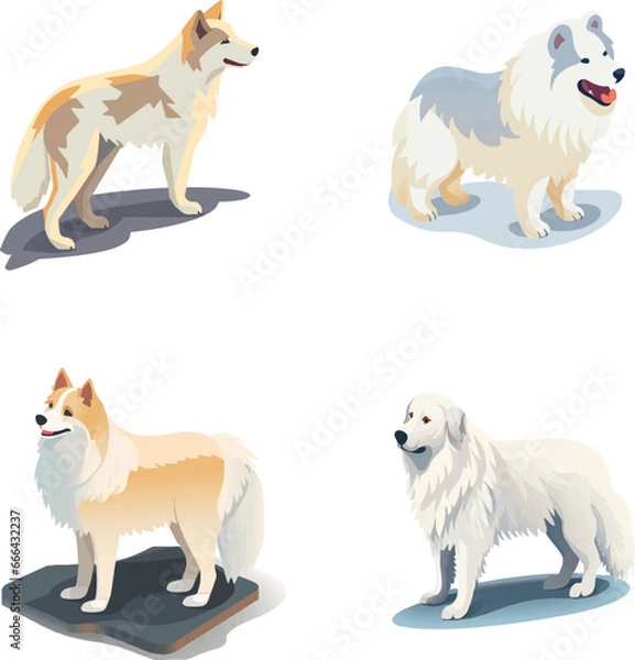 Fototapeta Goberian dog  collection in many action. Graphic resource about set for vector
