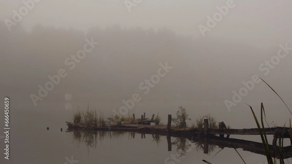 Obraz fog on the river