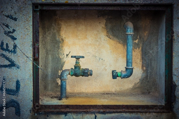 Fototapeta Missing link