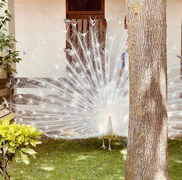 Obraz NAVARRA, SPAIN