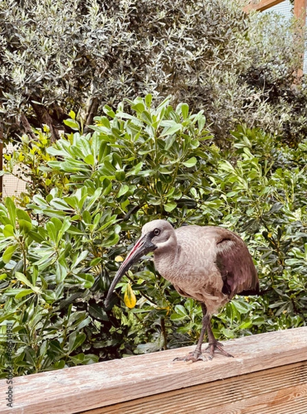 Obraz NAVARRA, SPAIN