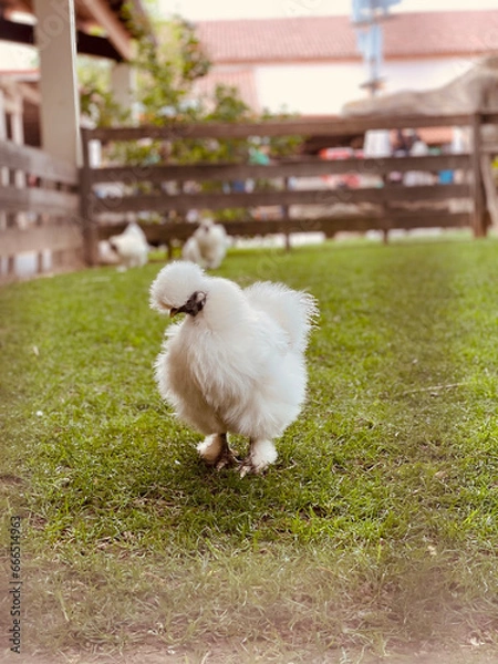 Obraz NAVARRA, SPAIN