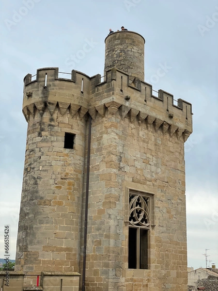 Obraz NAVARRA, SPAIN