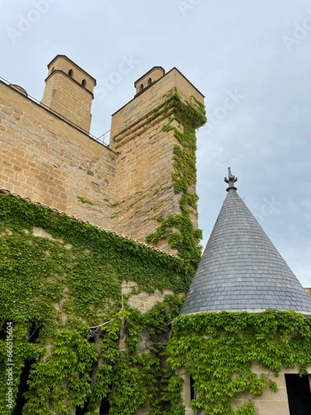 Obraz NAVARRA, SPAIN