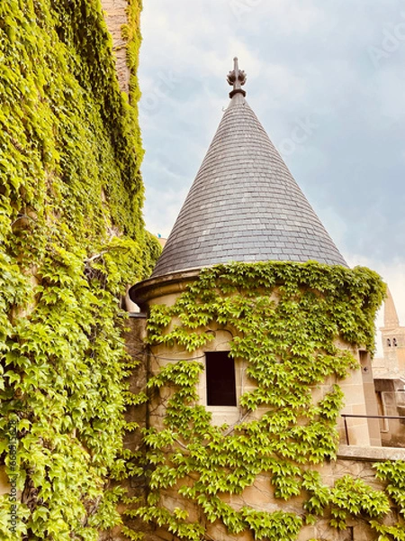 Obraz NAVARRA, SPAIN