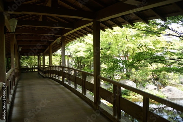 Fototapeta 好古園　御屋敷の庭　渡り廊下の景色