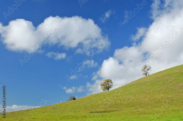 Fototapeta verdant hillside