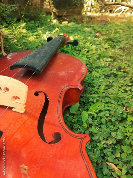 Obraz violin on the grass