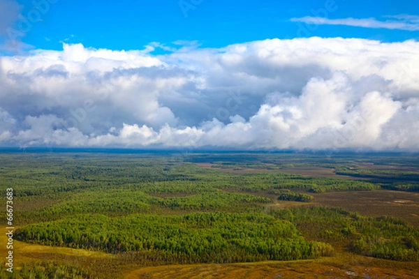 Fototapeta Forest under clouds, top view