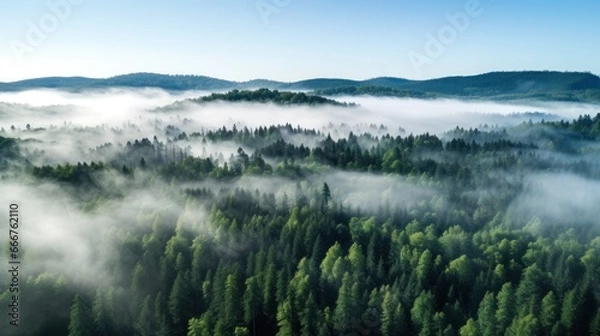 Fototapeta A top view of a forest with a white fog rolling over the treetops.