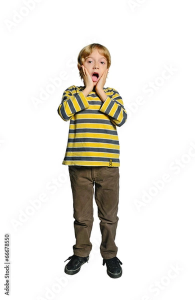 Obraz Isolated young boy