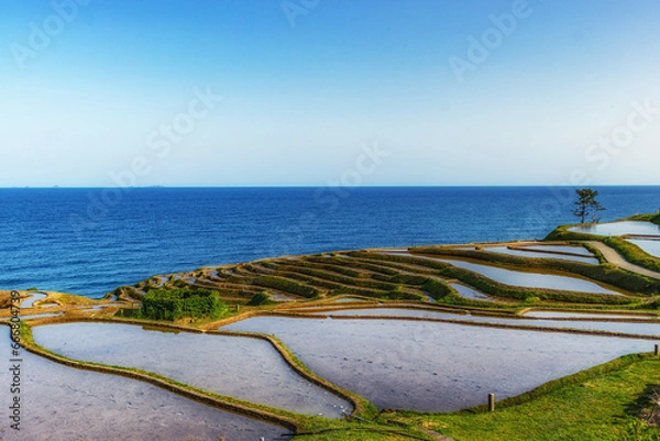 Obraz 【石川県】白米千枚田
