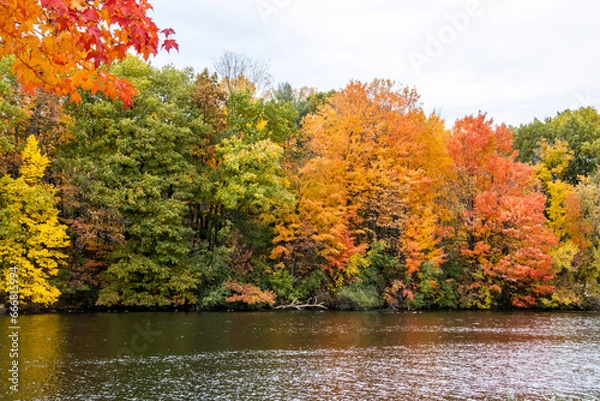Obraz Autumn trees along a river