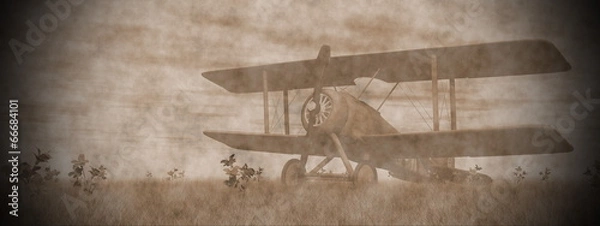 Obraz Biplane on the grass - 3D render