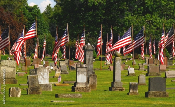 Obraz independence day