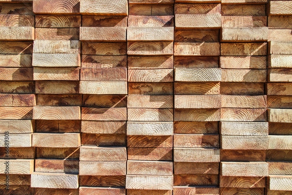 Obraz 杉板　東京