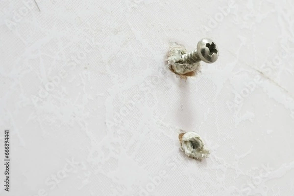 Obraz Threaded nuts screw into plastic anchors.