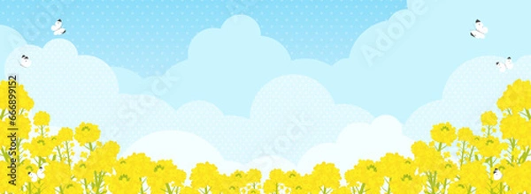 Obraz 菜の花畑にモンシロチョウが飛ぶ風景（バナー向け横長）