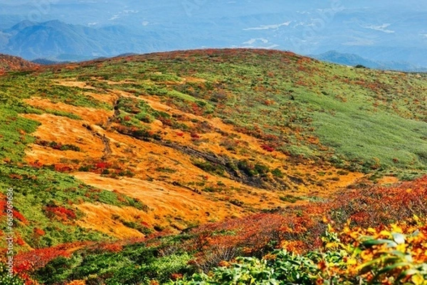 Fototapeta 神の絨毯と呼ばれる栗駒山の紅葉