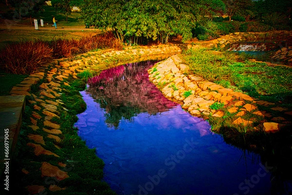 Obraz lake in the park