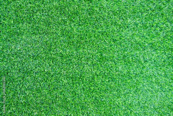 Fototapeta green grass background