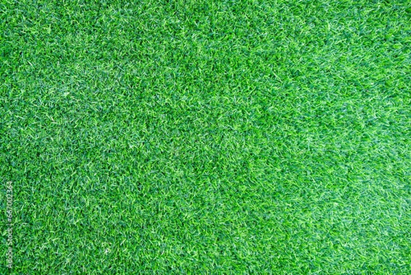 Fototapeta green grass background