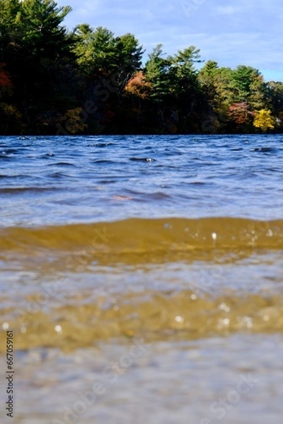 Obraz the river in the forest