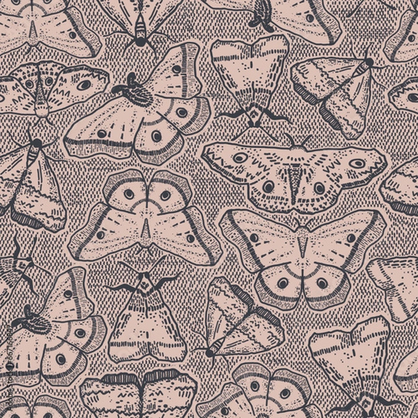 Fototapeta Esoteric butterflies or moth bugs repeat pattern. Dark and mystic insect design for Halloween and fall. Black and pink alchemy illustration with witchcraft and sorcery feel.