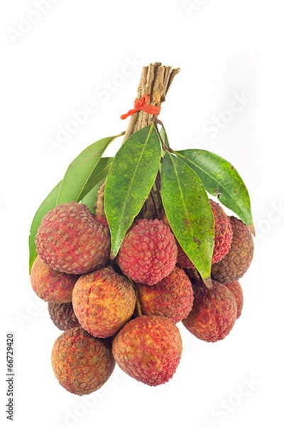 Fototapeta Lychee fruits red. Fresh lychees isolated on white background