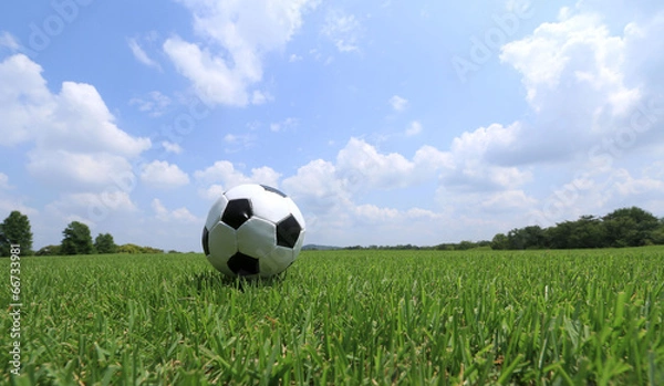 Fototapeta サッカーボール