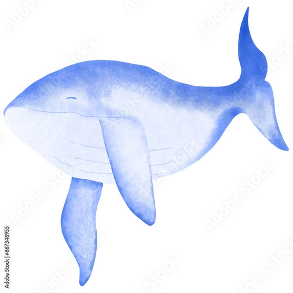 Fototapeta Whale on white background